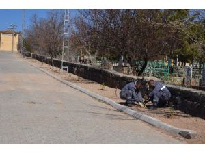 Bünyan Belediyesi’nden Peyzaj Ve Yeşillendirme Çalışması