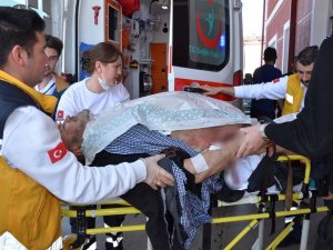 Karaman’da Köpek Kavgasında Ölü Sayısı 2’ye Yükseldi