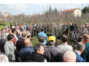 103 Çiftçiye Budama Eğitimi