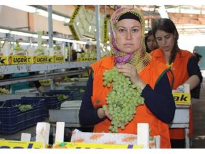 İhracat Rekortmeninden Üzümcülere Uyarı