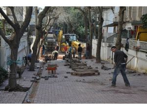 Darıca’da Alt Yapı Ve Üst Yapı Çalışmalarına Hız Verildi