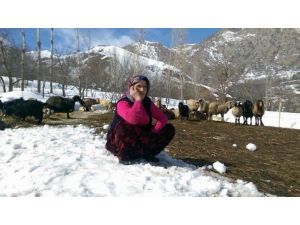 Hakkari’de Yağışlar Çiftçilerin Yüzünü Güldürdü