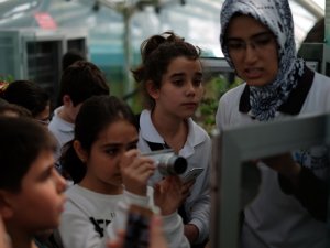 Diltaşlılar Kelebekler Vadisi’ni beğendi