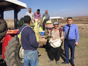 Kilis’te Meralara Gübre Atılıyor