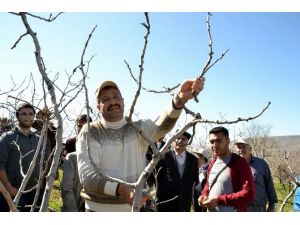 Siirt’te Tarımda Kurumlar Arası İşbirliği İle Daha Kaliteli Verim Elde Edilmesi Amaçlanıyor