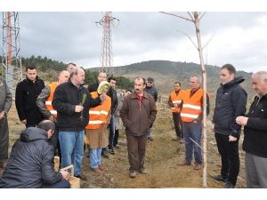 Kastamonu’da Ağaçlandırma Eğitim Ve Tatbikatı Yapıldı