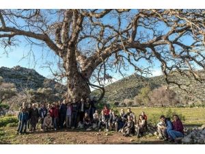 Datça Ve Bozburun’da Birlikten Kuvvet Doğuyor