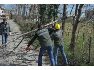 Yol Kenarlarına Temizlik