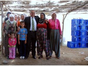 Başkan Tollu, Kadınların Gününü Kutladı