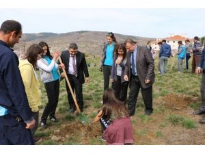 ’benim Okulum, Benim Fidanım’ Projesi