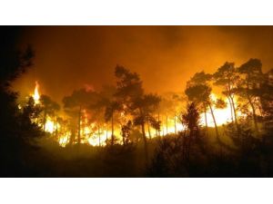 (Özel Haber) Orman İşçisinin Alevlere Karşı Çaresizliği