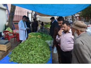 Baharın Müjdecisi Bitkiler Pazara İndi