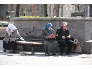 Türbede ’ygs’ Yoğunluğu