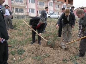 Sorgun’da Ağaçlandırma Çalışmalarına Hız Verildi