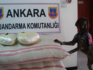 Jandarma'dan kaçakçılara darbe