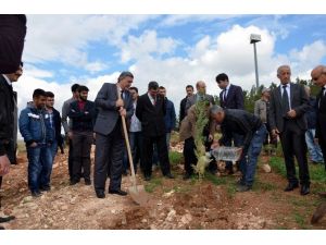 Tıp Bayramını Fidan Dikerek Kutladılar