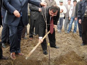 Ereğli'de fidanlar toprakla buluşturuldu