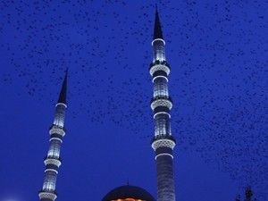 Sağlığı tehdit ediyor