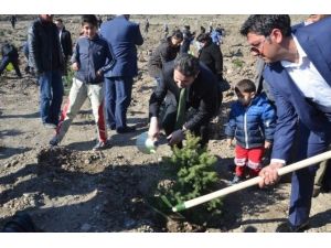 Tokat’ta Şehitler Hatıra Ormanı