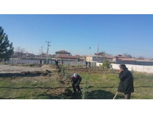 Yeşiltepe’de Fidan Dikme Seferberliği Başladı