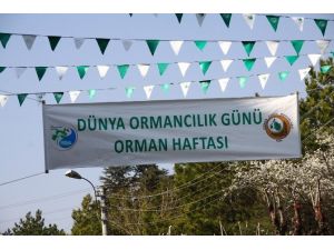 Dünya Ormancılık Günü Ve Orman Haftası Kutlamaları Başladı