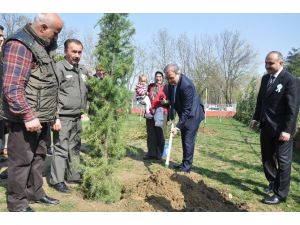 Renkli Orman Haftası Kutlaması