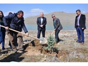 “ağaç Kardeşliği” Projesi Hayata Geçirildi