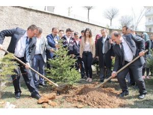 Akdağmadeni İlçesinde Ormancılık Günü Kutlandı