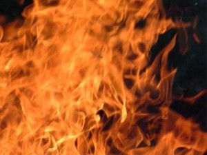 Diyarbakır'ı kana bulayamadan yakalandılar