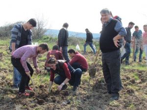 Biga’da Öğrenciler Fidan Dikti