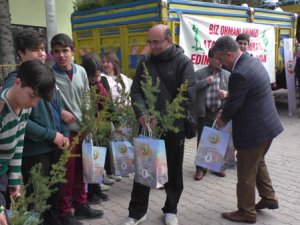 Beyşehir'de vatandaşlara ücretsiz tüplü sedir fidanı dağıtıldı