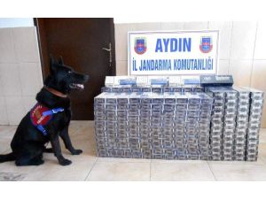Aydın’da 7200 Paket Kaçak Sigara Yakalandı