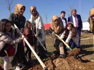 Orman Haftası’nda Abla Kardeş Fidan Diktiler