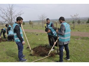 Hükümlüler Fidanları Toprakla Buluşturdu