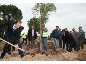 Mehmet Akif Ersoy Hatıra Ormanı Oluşturuldu