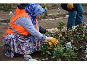 Görele Belediyesi Rengarenk Çiçekleri Toprakla Buluşturuyor