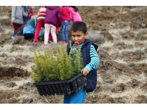 Küçüklerden Doğaya Büyük Katkı