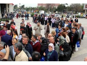 Bin “mazı Fidanı” Yarım Saatte Tükendi