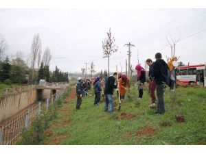 41 Genç 41 Gelecek Gençleri Gebze’de Fidan Dikti