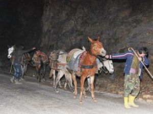 Uludere'de kaçakçılık devam ediyor