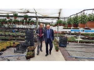 Başkan Oral’dan Çiçek Üreticilerine Ziyaret