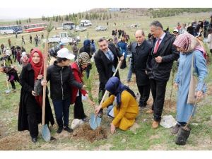 Üniversiteli Gençler Hem Eğlendi Hem De Ağaç Dikti