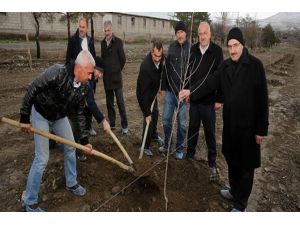 Kapama Dut Bahçesi Projesinde İlk Fidan Dikildi