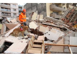 Sokakta Bulunan Rüzgar’ın Hayatı Belgesel Oldu