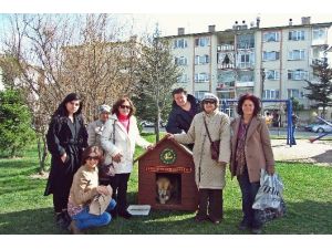 Kent Konseyi Hayvan Hakları Grubu’ndan Teşekkür Ziyareti