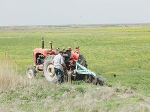 Tarım Planı, yılda 1,1 milyar TL kazandıracak