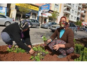 Kilis Çiçeklerle Bezeniyor