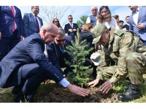 Manisalı Şehit Ve Gazi 352 Kişi İçin Fidan Dikildi