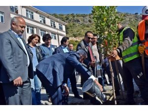 Demre’de Fidanlar Toprakla Buluştu