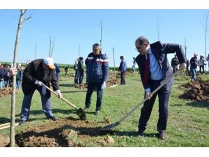 Nkü’nün Onuncu Yıl Anısına Fidan Dikim Töreni